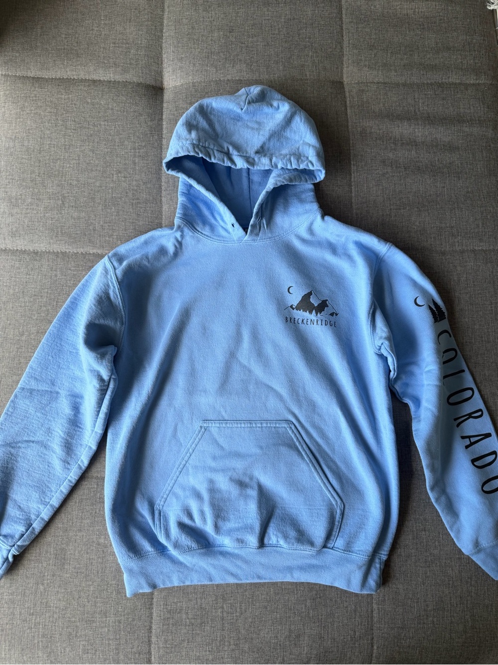 Gildan Light Blue Hoodie with Mountain Graphic